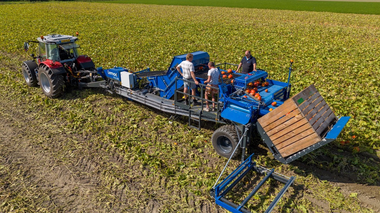 Lemac PO150k pompoenrooier in het veld